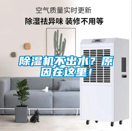 除濕機不出水？原因在這里！