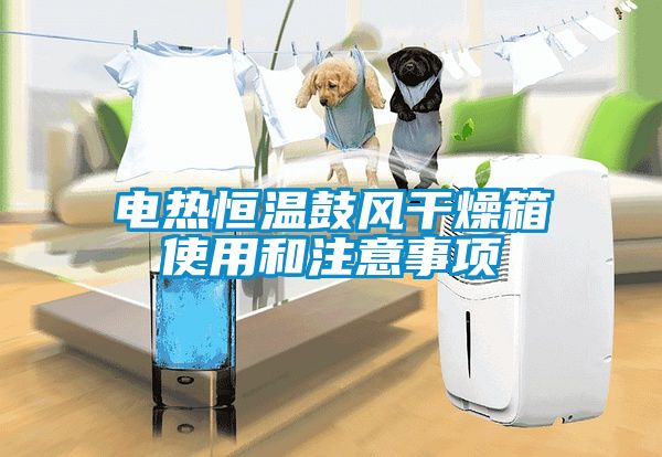 電熱恒溫鼓風(fēng)干燥箱使用和注意事項