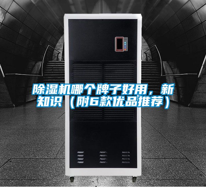 除濕機(jī)哪個(gè)牌子好用，新知識（附6款優(yōu)品推薦）