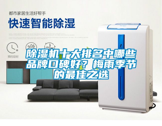 除濕機(jī)十大排名中哪些品牌口碑好？梅雨季節(jié)的最佳之選