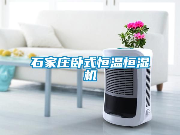 石家莊臥式恒溫恒濕機(jī)