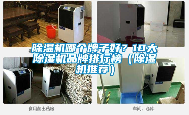 除濕機(jī)哪個(gè)牌子好？10大除濕機(jī)品牌排行榜（除濕機(jī)推薦）