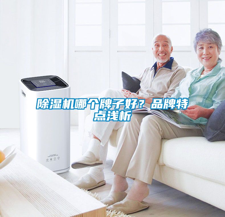 除濕機(jī)哪個(gè)牌子好？品牌特點(diǎn)淺析