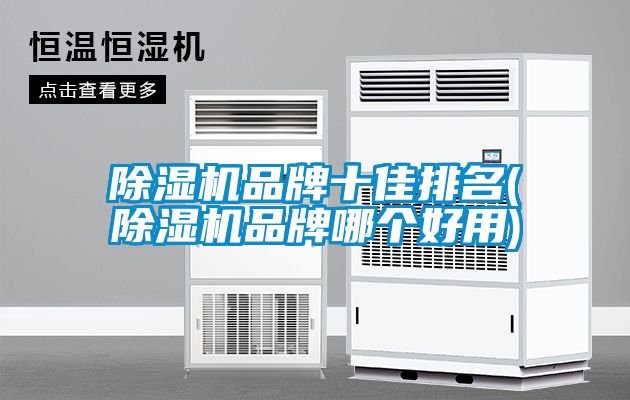 除濕機(jī)品牌十佳排名(除濕機(jī)品牌哪個(gè)好用)