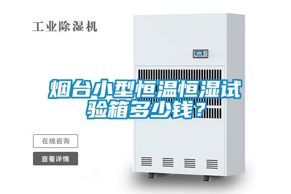 煙臺小型恒溫恒濕試驗箱多少錢？