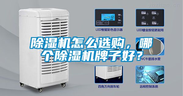 除濕機(jī)怎么選購(gòu)，哪個(gè)除濕機(jī)牌子好？