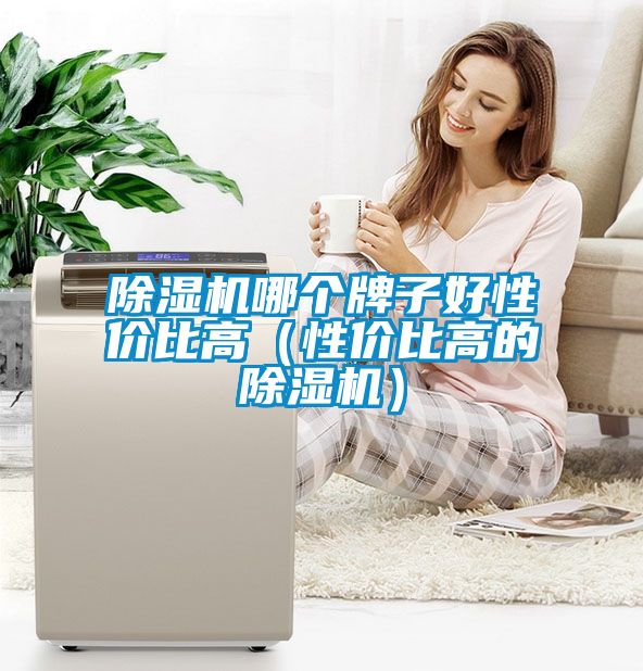 除濕機(jī)哪個(gè)牌子好性價(jià)比高（性價(jià)比高的除濕機(jī)）
