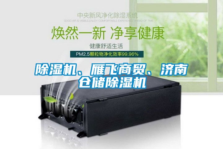 除濕機、雁飛商貿(mào)、濟南倉儲除濕機