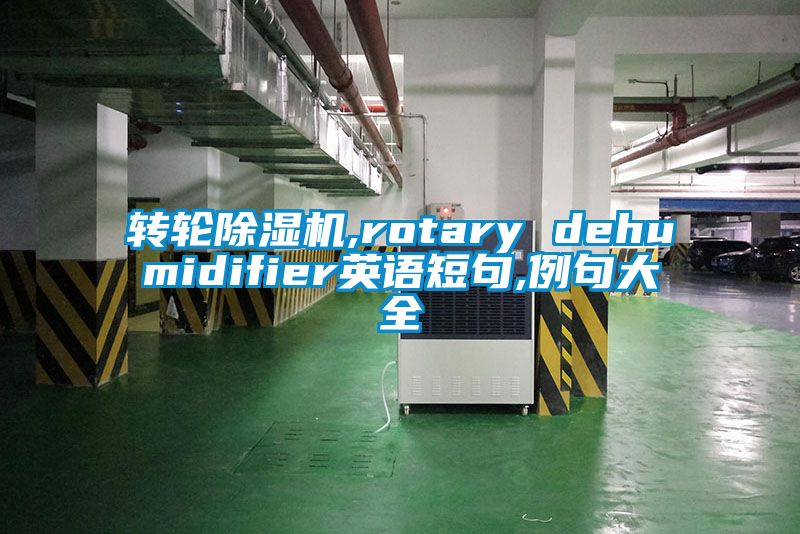 轉(zhuǎn)輪除濕機,rotary dehumidifier英語短句,例句大全