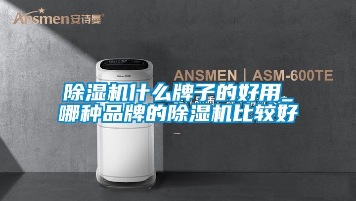 除濕機(jī)什么牌子的好用_哪種品牌的除濕機(jī)比較好