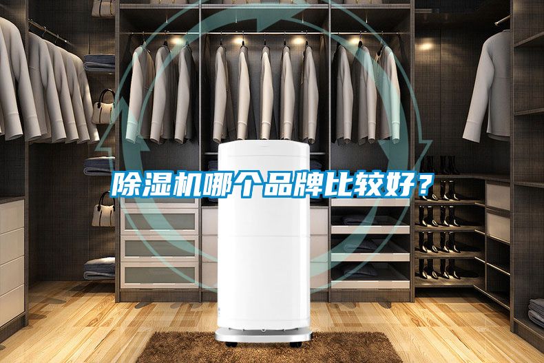 除濕機(jī)哪個(gè)品牌比較好？