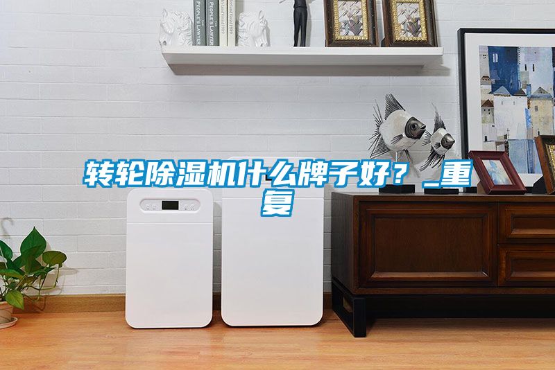 轉(zhuǎn)輪除濕機什么牌子好？_重復