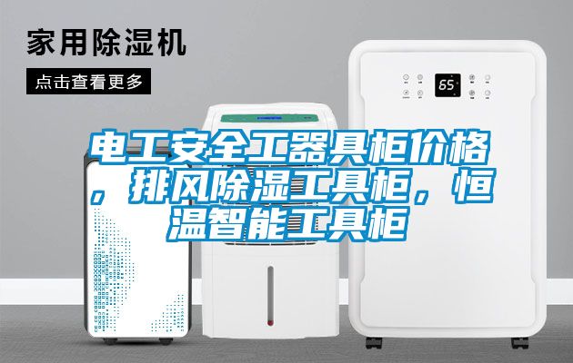 電工安全工器具柜價格，排風除濕工具柜，恒溫智能工具柜