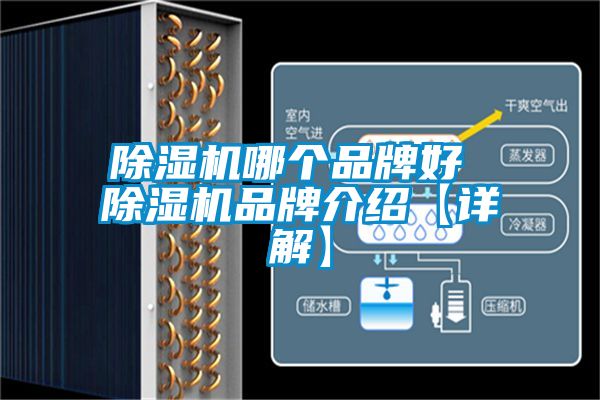 除濕機(jī)哪個(gè)品牌好 除濕機(jī)品牌介紹【詳解】