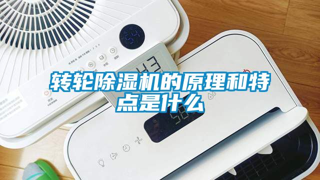 轉(zhuǎn)輪除濕機的原理和特點是什么