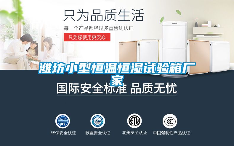 濰坊小型恒溫恒濕試驗(yàn)箱廠家