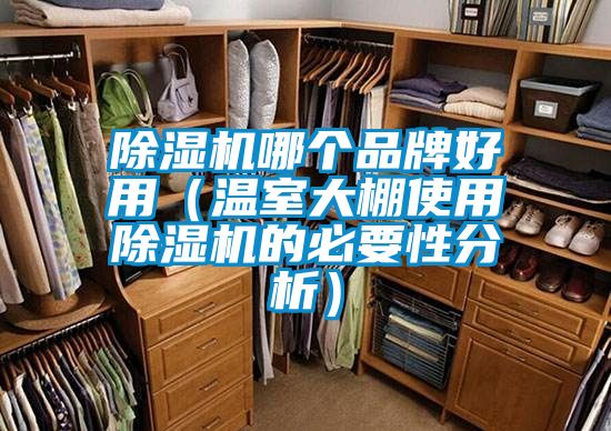 除濕機(jī)哪個(gè)品牌好用（溫室大棚使用除濕機(jī)的必要性分析）