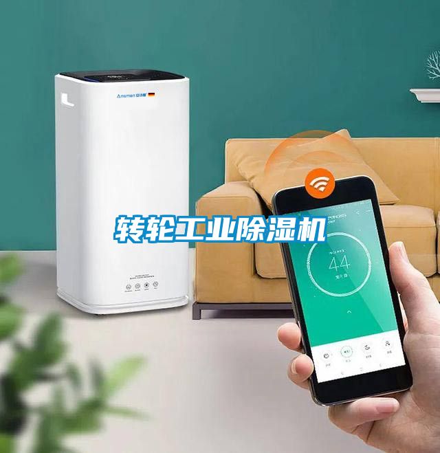 轉(zhuǎn)輪工業(yè)除濕機(jī)