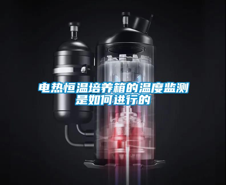 電熱恒溫培養(yǎng)箱的溫度監(jiān)測(cè)是如何進(jìn)行的
