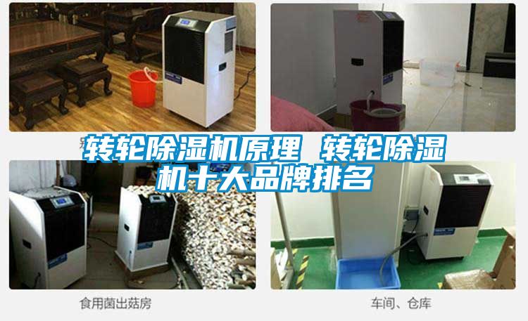 轉(zhuǎn)輪除濕機(jī)原理 轉(zhuǎn)輪除濕機(jī)十大品牌排名