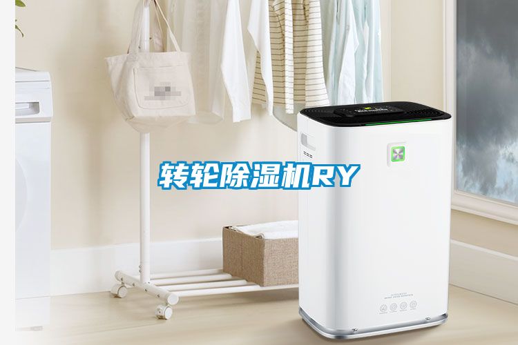 轉(zhuǎn)輪除濕機RY