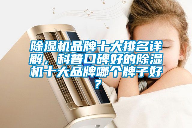 除濕機(jī)品牌十大排名詳解，科普口碑好的除濕機(jī)十大品牌哪個(gè)牌子好？