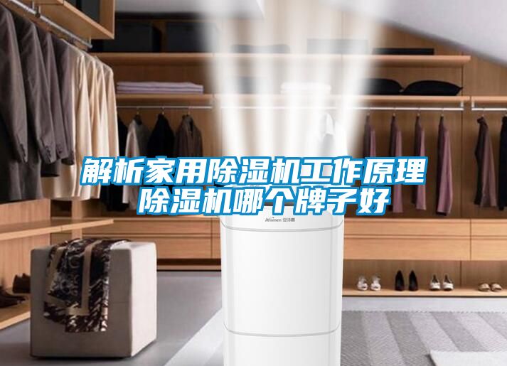 解析家用除濕機(jī)工作原理 除濕機(jī)哪個(gè)牌子好