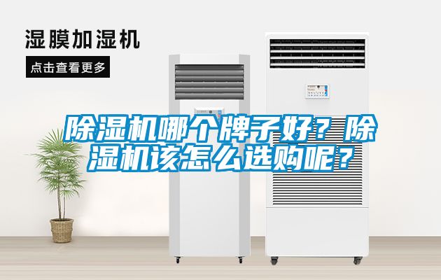 除濕機(jī)哪個(gè)牌子好？除濕機(jī)該怎么選購(gòu)呢？