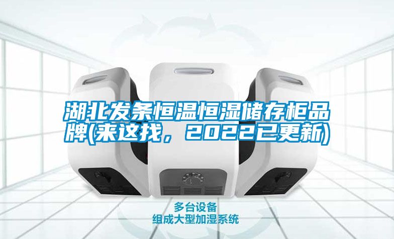 湖北發(fā)條恒溫恒濕儲(chǔ)存柜品牌(來這找，2022已更新)