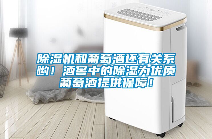 除濕機(jī)和葡萄酒還有關(guān)系喲！酒窖中的除濕為優(yōu)質(zhì)葡萄酒提供保障！