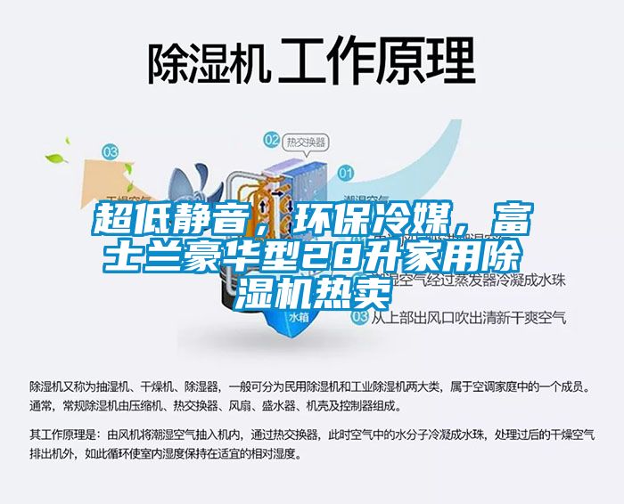 超低靜音，環(huán)保冷媒，富士蘭豪華型28升家用除濕機(jī)熱賣