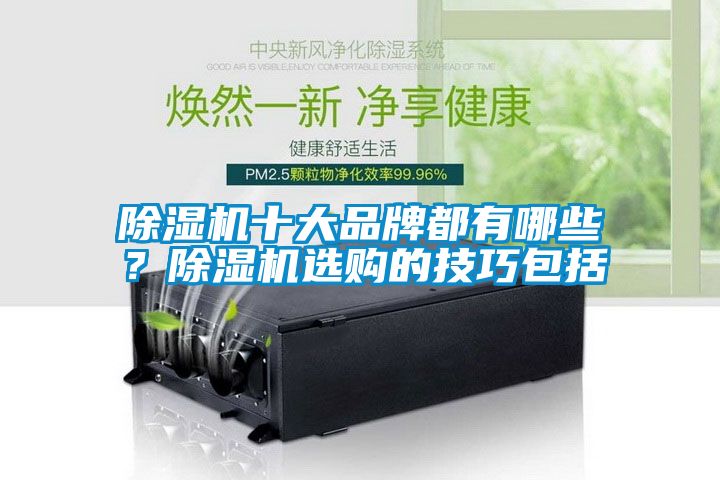 除濕機(jī)十大品牌都有哪些？除濕機(jī)選購的技巧包括