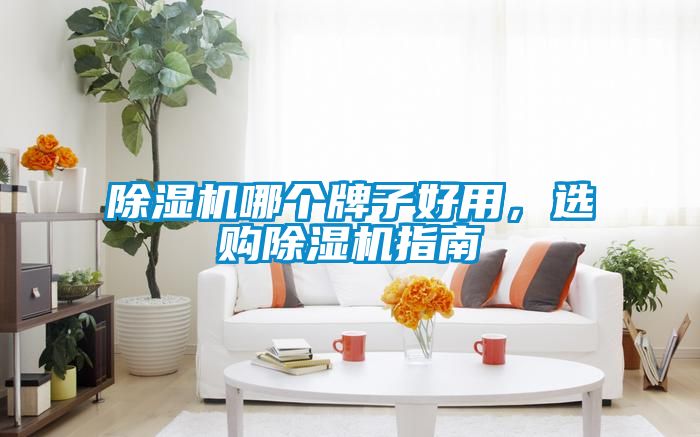 除濕機哪個牌子好用，選購除濕機指南
