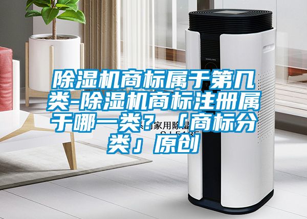 除濕機(jī)商標(biāo)屬于第幾類-除濕機(jī)商標(biāo)注冊屬于哪一類？「商標(biāo)分類」原創(chuàng)