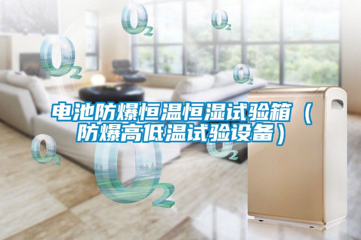 電池防爆恒溫恒濕試驗箱（防爆高低溫試驗設備）