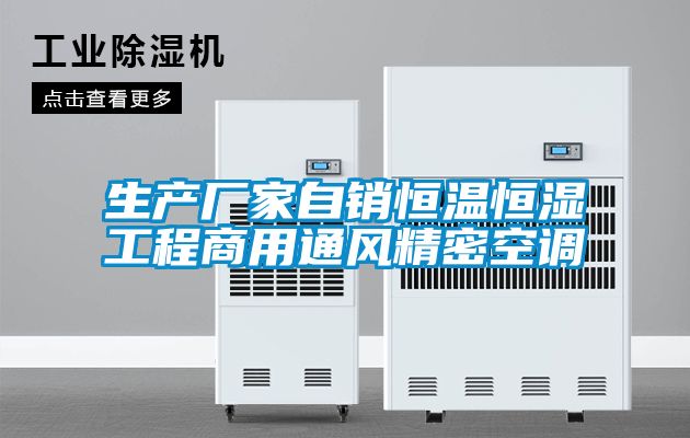 生產(chǎn)廠家自銷恒溫恒濕工程商用通風(fēng)精密空調(diào)