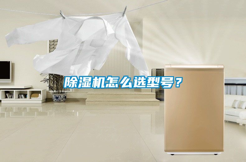 除濕機(jī)怎么選型號？