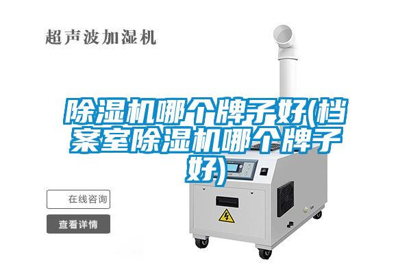 除濕機(jī)哪個牌子好(檔案室除濕機(jī)哪個牌子好)