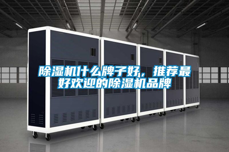 除濕機什么牌子好，推薦最好歡迎的除濕機品牌