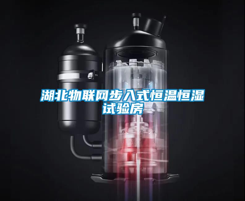 湖北物聯(lián)網(wǎng)步入式恒溫恒濕試驗(yàn)房