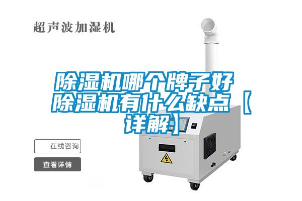 除濕機(jī)哪個牌子好 除濕機(jī)有什么缺點(diǎn)【詳解】