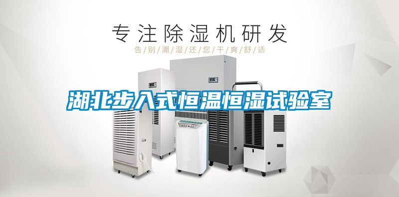 湖北步入式恒溫恒濕試驗(yàn)室