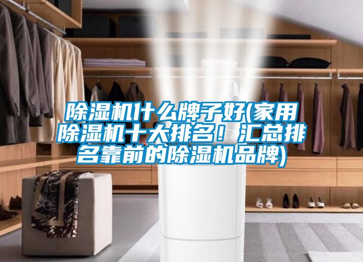 除濕機(jī)什么牌子好(家用除濕機(jī)十大排名！匯總排名靠前的除濕機(jī)品牌)