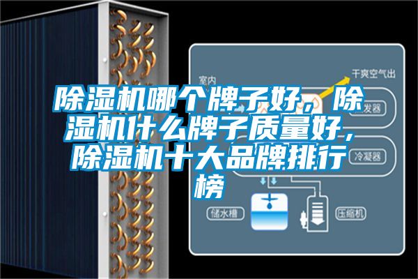 除濕機(jī)哪個(gè)牌子好，除濕機(jī)什么牌子質(zhì)量好，除濕機(jī)十大品牌排行榜
