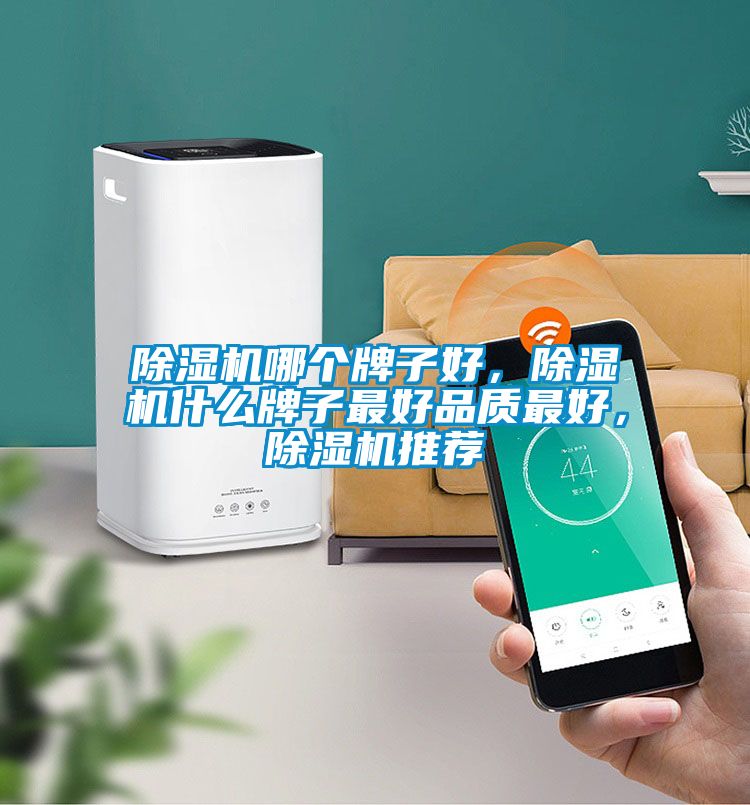 除濕機哪個牌子好，除濕機什么牌子最好品質最好，除濕機推薦
