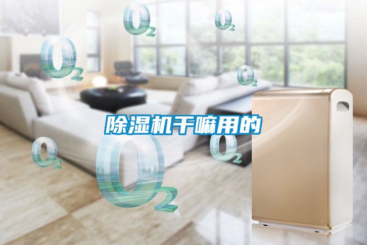 除濕機(jī)干嘛用的