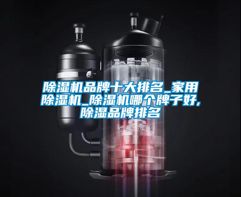 除濕機(jī)品牌十大排名_家用除濕機(jī)_除濕機(jī)哪個牌子好,除濕品牌排名