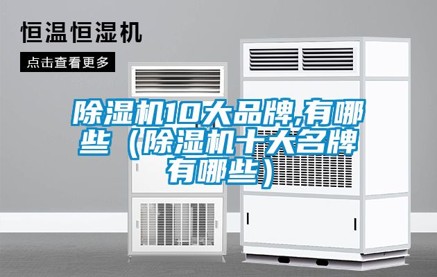 除濕機(jī)10大品牌,有哪些（除濕機(jī)十大名牌有哪些）