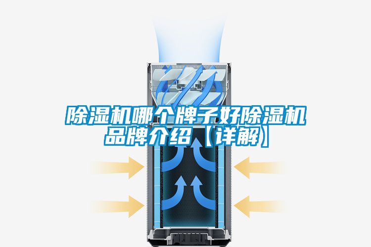 除濕機(jī)哪個(gè)牌子好除濕機(jī)品牌介紹【詳解】