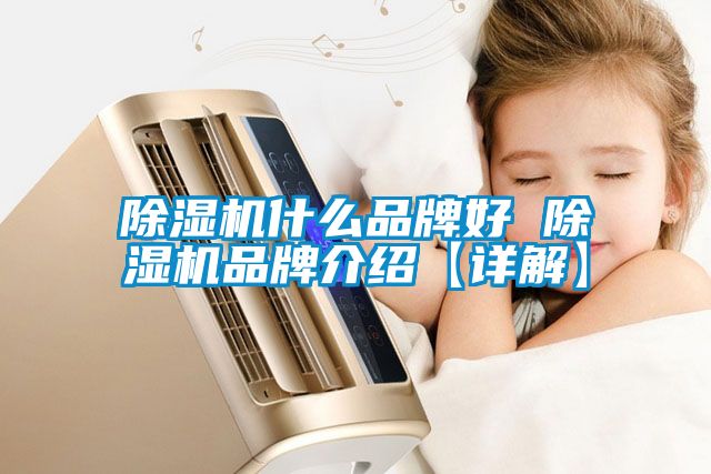 除濕機什么品牌好 除濕機品牌介紹【詳解】
